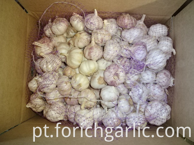 Normal Garlic Size 5 0cm